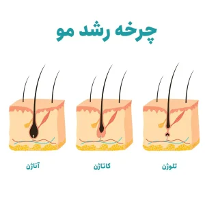 تلوژن