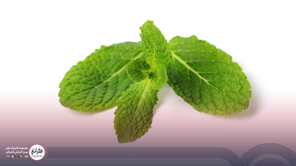 تصویر یک برگ نعنا برای درمان تبخال