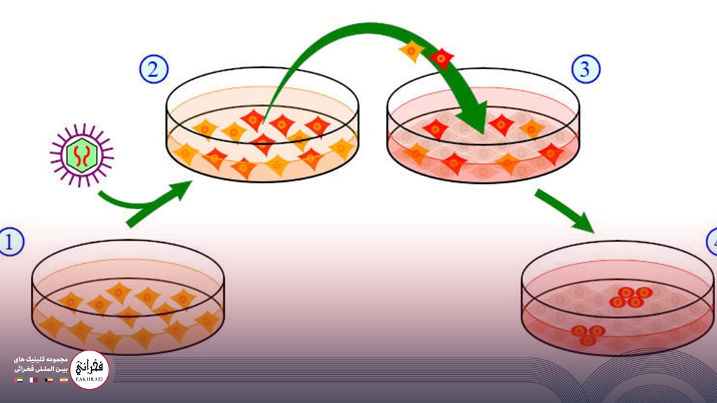 نمونه برداری از بافت سالم مو