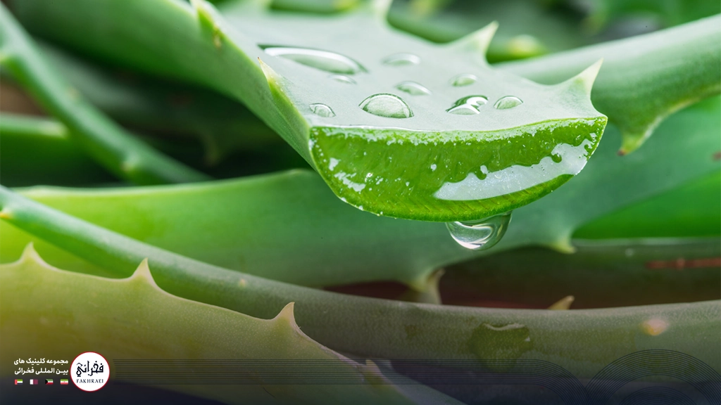 آلوئه ورا برای درمان آفتاب سوختگی
