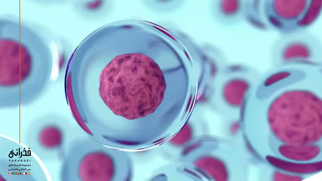 سلول های بنیادی برای کاشت مو