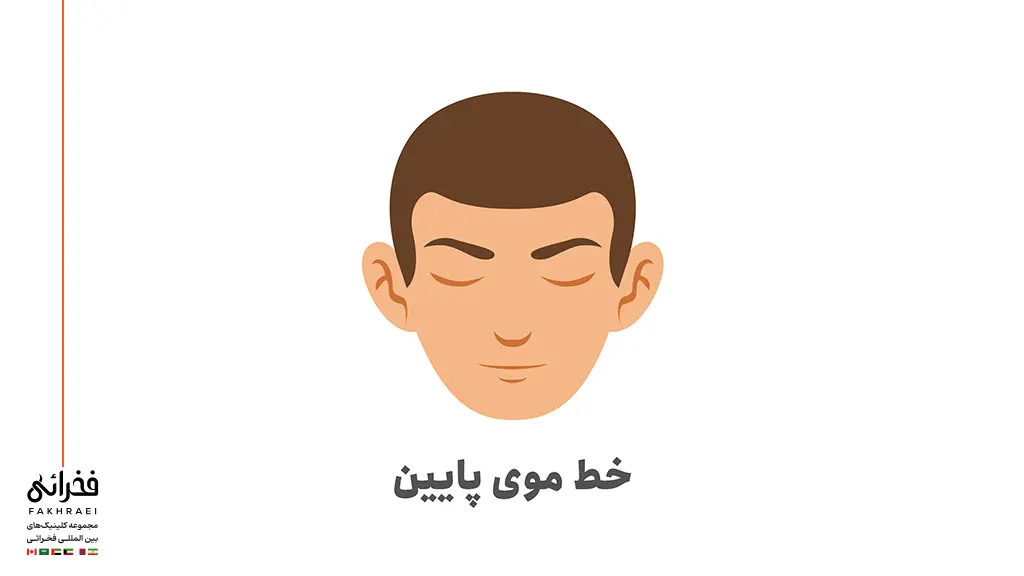 خط موی پایین